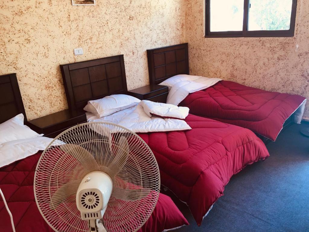 Guest House Attallah Вади Муса Экстерьер фото
